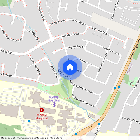 3 Snapdragon Crescent, NSW 2259, Hamlyn Terrace