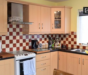 Room for rent in 2-bedroom house in Ballsbridge, Dublin - Photo 5