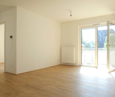 Q5 am PARK 3ZI ruhige Innenhoflage sonniger S/W Balkon - Photo 5