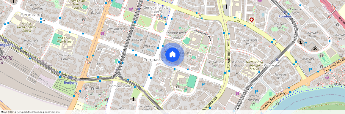 224B Compassvale Walk (542224), Singapore