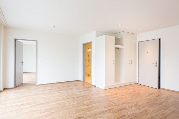 Helle Attika mit riesiger Dachterrasse! - Foto 1