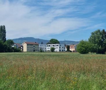 3 Zimmer Wohnung in ruhiger Lage von Stierstadt - Photo 6