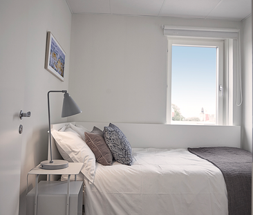 Ihregatan, Visby - Foto 6