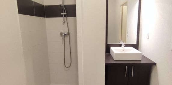 Location Appartement 1 pièce 26m² LAUNAGUET 31140 - Photo 2