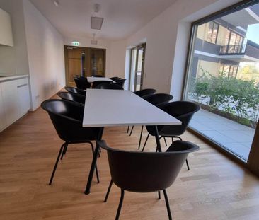 Erstbezug im Village, 2 Zimmer mit Balkon zur Miete - Foto 2