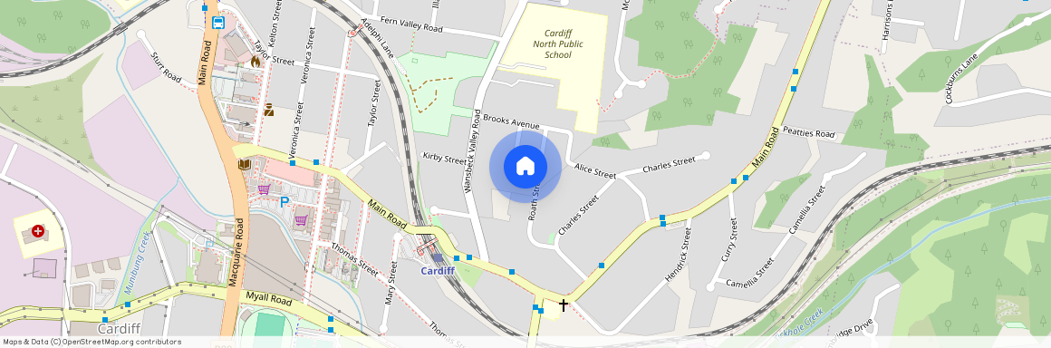 3 Roath Street, Cardiff 2285, New South Wales