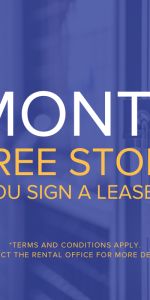 San Romanoway Apartments - Photo 4