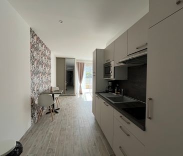 Location Appartement 1 pièce 30m² CARMAUX 81400 - Photo 3