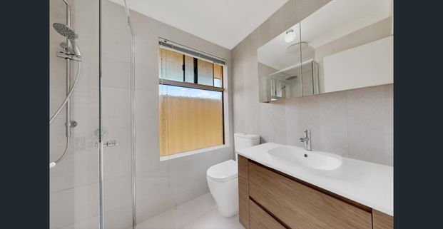 SPACIOUS FAMILY LIVING IN A LEAFY WILLETTON POCKET - Photo 1