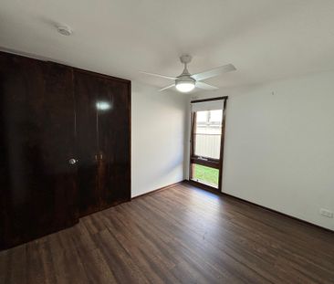 Elegant Elder - Photo 1