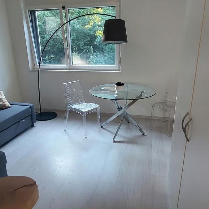 1.5 Zimmer, 20 m², 1. Stock - Photo 1