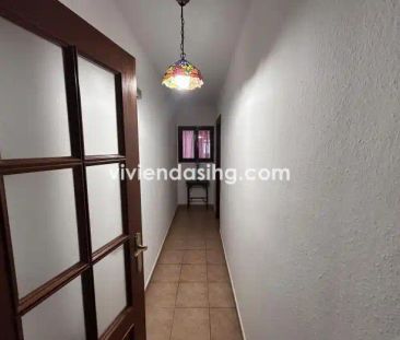Los Realejos - Photo 3