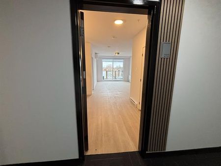 430 Boul. du Bord de l'Eau - Photo 2