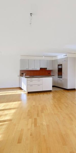 4.5 Zimmer, 118 m², EG - Foto 1