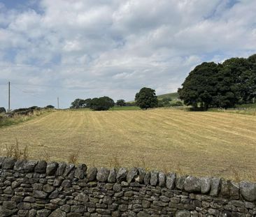 Detached three bed farmhouse with equine potential including outbuildings. - Photo 6