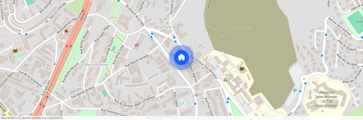 21 RUE HENRI MATISSE, 42100, St Etienne