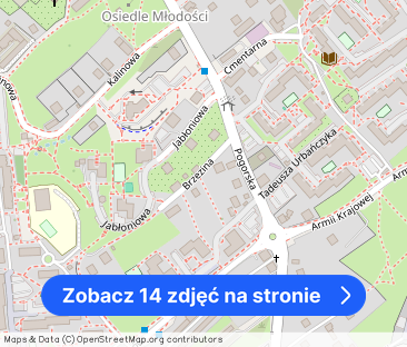 Klimatyczne mieszkanie 2 pokoje ul. Brzezina - Zdjęcie 1
