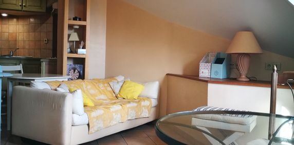 Location Appartement 2 pièces 29m² - Photo 2