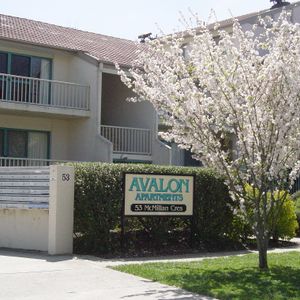 53/55 McMillan Crescent, Griffith ACT 2603 - Apartment For Rent | Domain - Photo 2