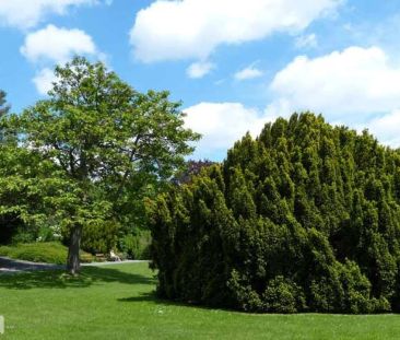 NÄHE HOHE WARTE - HELLE UND RUHIGE WOHNUNG MIT GARTENNUTZUNG - Foto 6