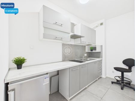 Dwupokojowe mieszkanie na wynajem - Zdjęcie 2