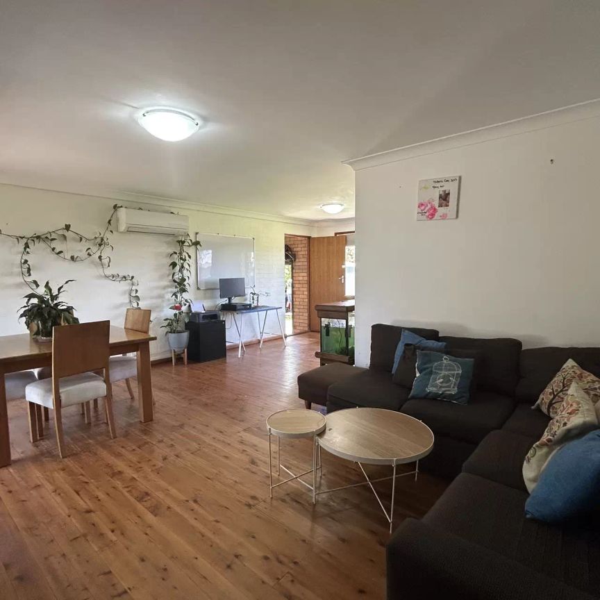 Plenty of Space - Photo 1