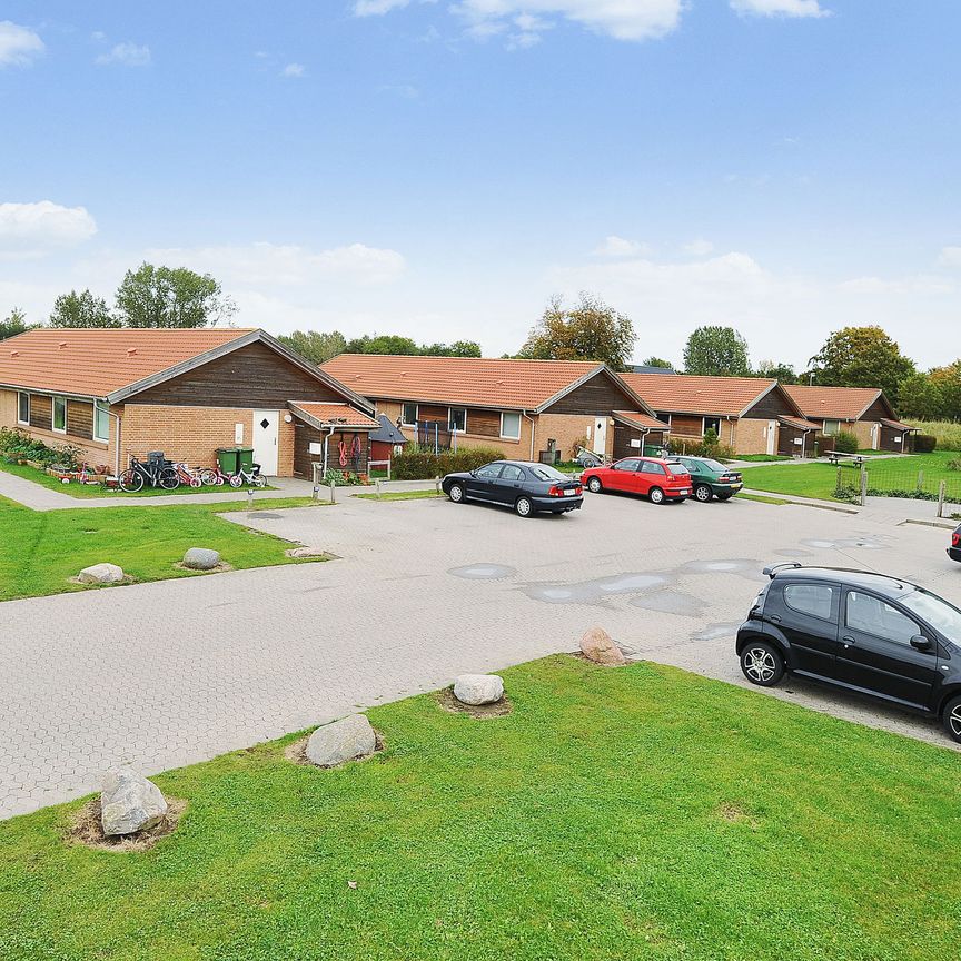 Attraktivt 1-plans rækkehus i Holluf Pile med egen have og parkering - Photo 1