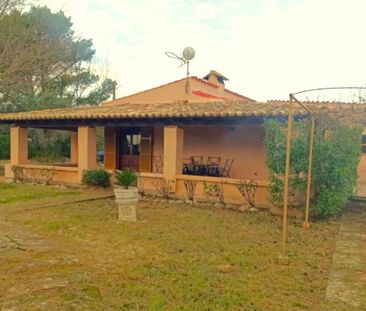 Diseminado Poligono 3, 490A, 07470, Illes Balears, Spain, Pollença,... - Photo 5