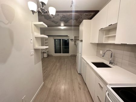 Bachelor Suite For Rent In Surrey/ Pets Allowed. - Photo 4