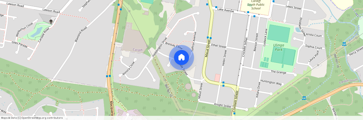 1 Saffron Avenue, NSW 2285, Cardiff South