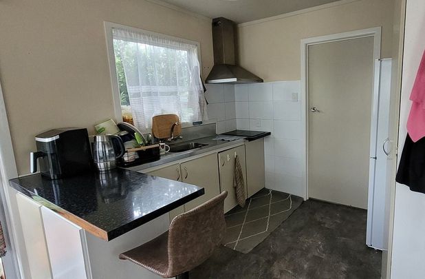 Independent Granny Unit with its own Driveway - Photo 1