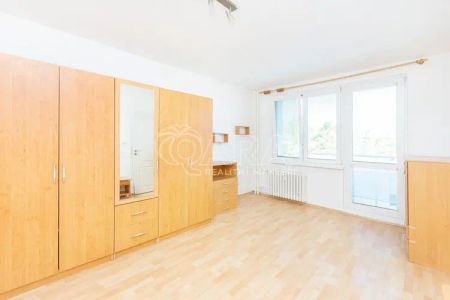 Pronájem bytu 1+1 s balkonem, Tábor Leskovická - Photo 4