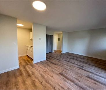 1 Bedroom Suite at 1022 Pandora Ave - Photo 2