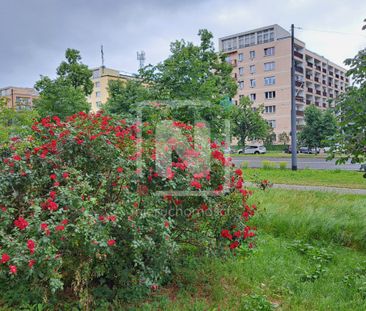 Warszawa, Praga-Południe, Praga-Południe Kamionek, Aleja Jerzego Wa... - Zdjęcie 2
