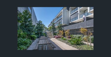 Contemporary 1-Bedroom Apartment ! - Photo 4