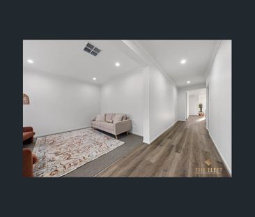 4 Bedrooms, 2 living areas and Premium Features, Prime Location. - Photo 1