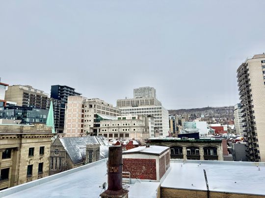 Appartement à louer, Montréal (Ville-Marie) - Photo 1