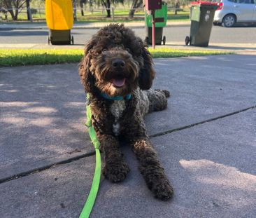 Coburg North - Photo 3