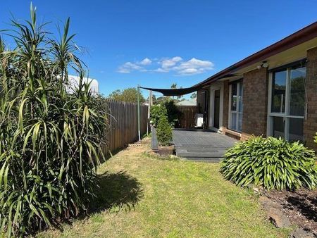 COSY FAMILY HOME IN QUIET COURT YARD LOCATION - Photo 5