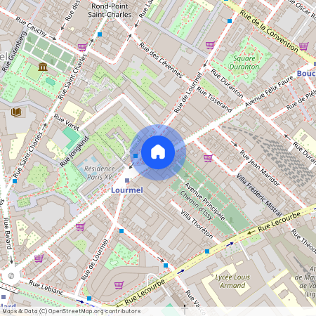 Avenue Félix Faure, Francja, Paris