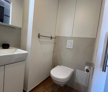 Stylisches All-Inclusive-Apartment mit Balkon im Zentrum von Brunn ... - Foto 6