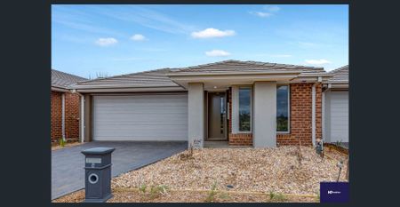 Modern Family Home in Harkness with 4 Bedrooms - Photo 3