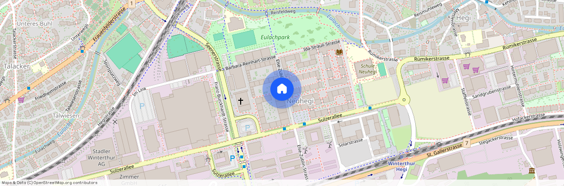 Else - Züblin - str. 83, 8404, Winterthur