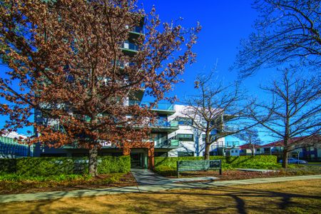 The Best of New York in Canberra - Photo 4