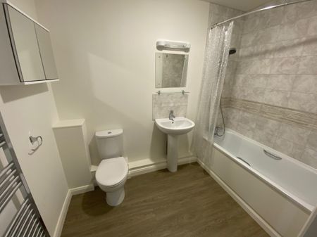 Walks View Court, Kings Lynn, Birch Tree Close - Photo 5