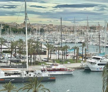 26 Av. de Gabriel Roca, Palma de Mallorca, Balearic Islands 07014 - Photo 4