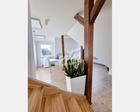 Szczecin - Zdjęcie 4