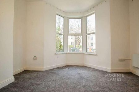 Ground Floor Flat, Stacey Road, Roath, Cardiff, CF24 - Photo 4