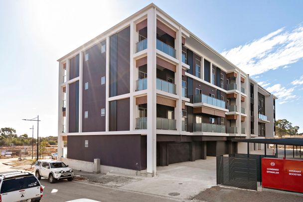 203/32 Henry Street - Photo 1