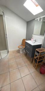 Location Appartement 1 pièce Meublé 19m² MONT DE MARSAN 40000 - Photo 4